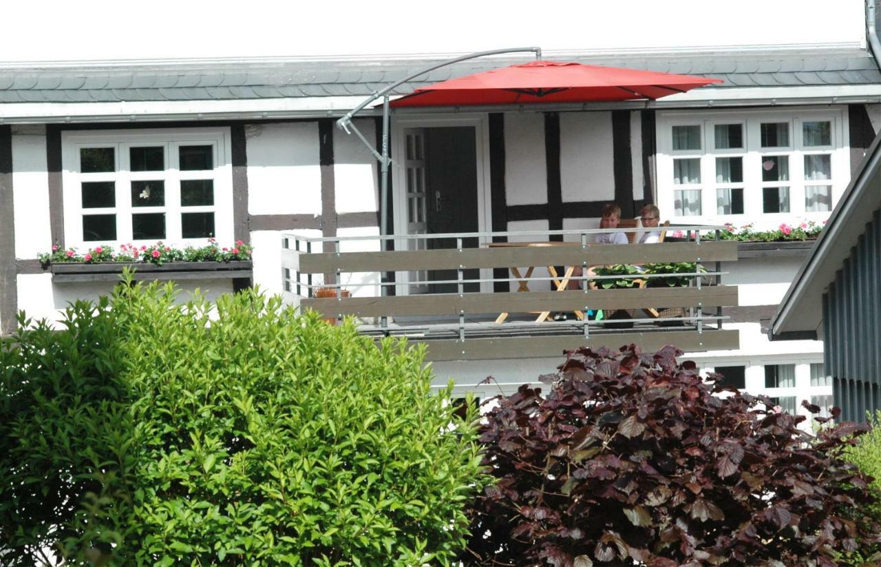 Wilkenhof Apartment Willingen  Exterior photo